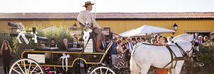 Finca El Lebrel, carruaje de caballos
