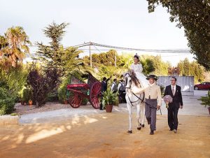 Finca El Lebrel, entrada