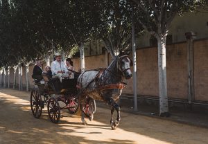 Finca El Lebrel, entrada